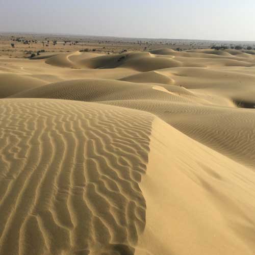 Sam Sand Dunes Jaisalmer