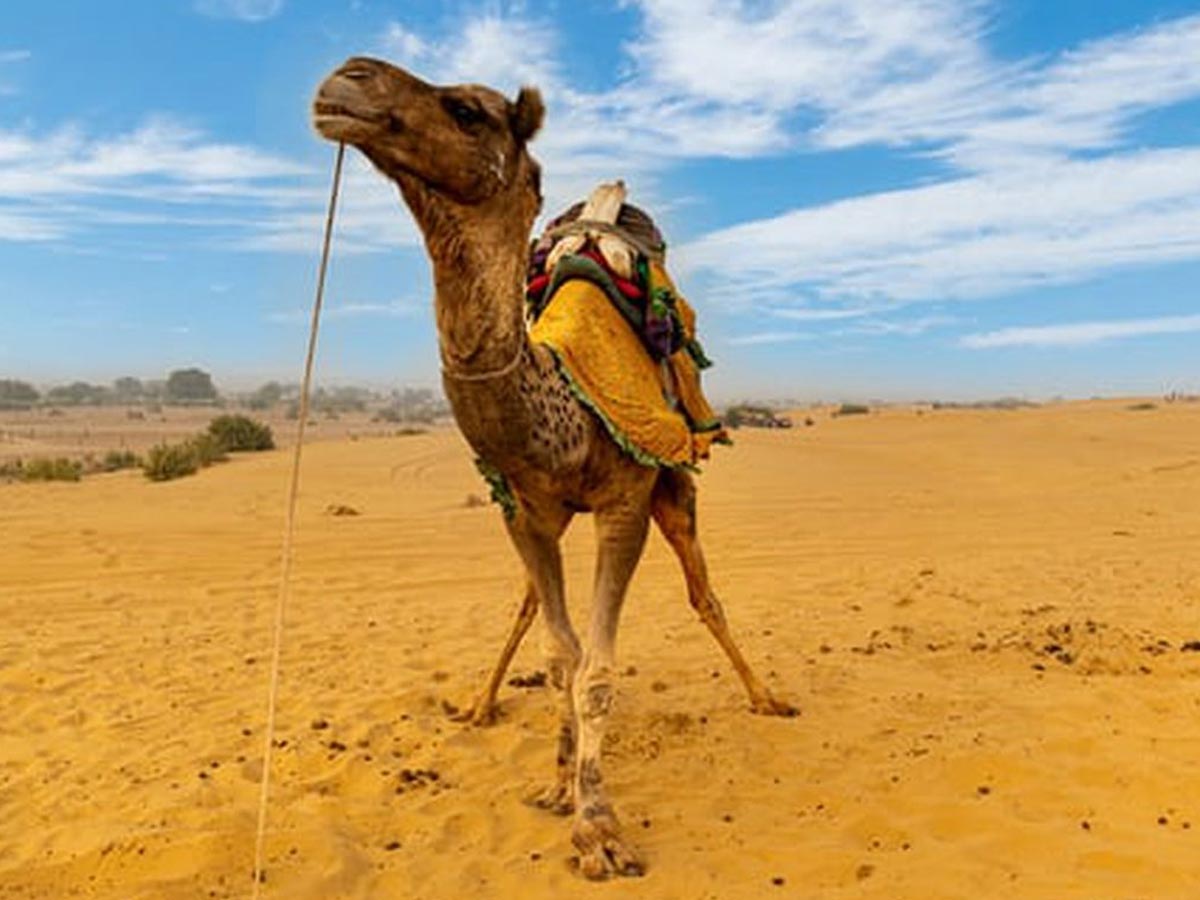 Tourism Jaisalmer